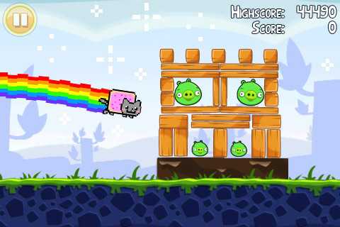 nyan pic 1